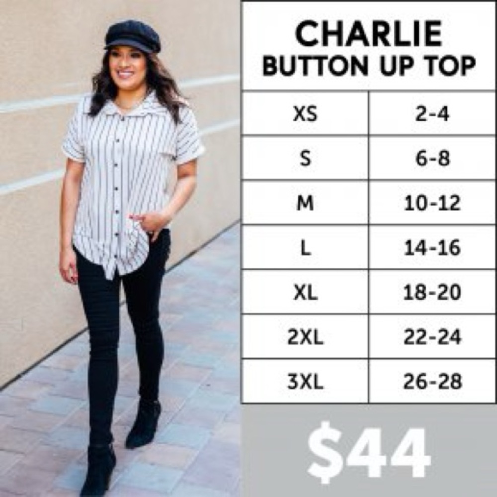 LuLaRoe Charlie Top - Picture 2 of 6